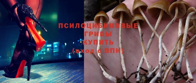 площадка состав  Нижняя Салда  Галлюциногенные грибы Magic Shrooms 